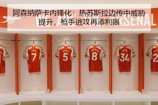 a-sen-na-sa-ka-nei-feng-hua-re-su-si-la-bian-chuan-zhong-wei-xie-ti-sheng-qiang-shou-jin-gong-zai-tian-li-qi-3-648.jpg