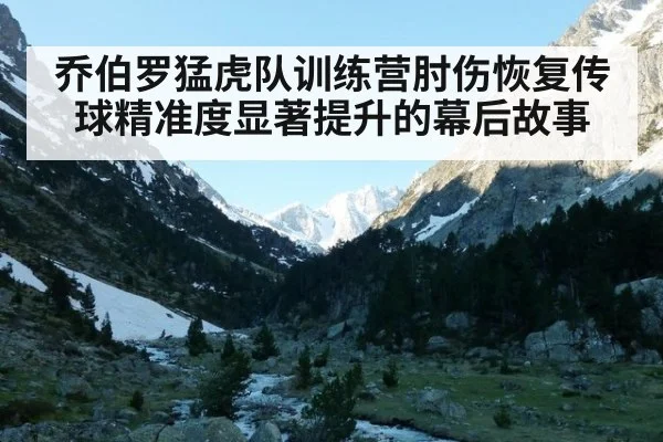 乔伯罗猛虎队训练营肘伤恢复传球精准度显著提升的幕后故事