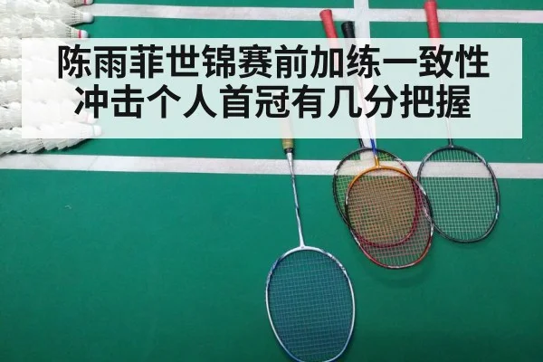 陈雨菲世锦赛前加练一致性 冲击个人首冠有几分把握